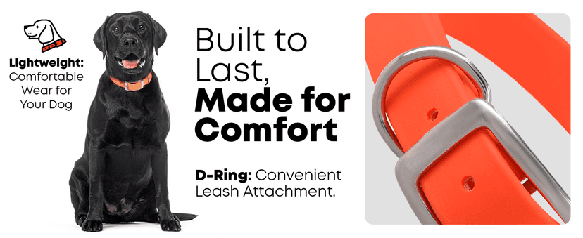 Regal Dog Products Medium Orange Dog Collar with Heavy Duty Double Buckle & D Ring | Vinyl Coated, Custom Fit, Adjustable Biothane Dog Collar Chew Resistant Waterproof Center-Ring Collar for Dogs