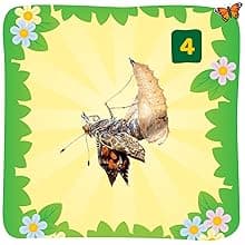 Insect Lore Butterfly Garden Kit – 10 Live Caterpillars, Habitat, STEM Journal, 2 Chrys-a-lid Holding Logs & Feeder – Grow & Release Painted Lady Butterflies – Educational Science Toy