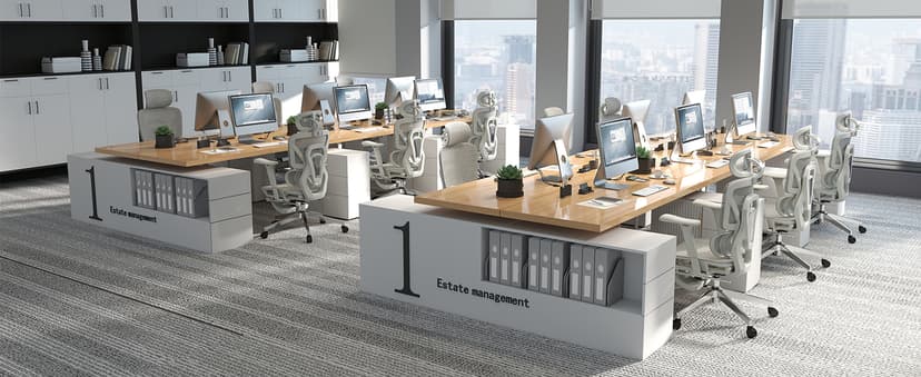 Ergonomic Office Chair with Footrest, High Back Mesh Computer Chair with Lumbar Support, 5-Level Backrest Height, 4D Flip-Up Arms for Home & Gaming Desk (Gray Mesh 3-Zone Lumbar Support+4D Armrest)