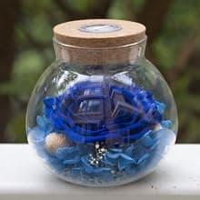 Preserved Real Roses with Colorful Mood Light Wishing Bottle, Eternal Rose,Never Withered Flowers, Table Decor,Christmas Anniversary Valentine's, Blue 4.3inch, 1pcs B07DT2GBT2