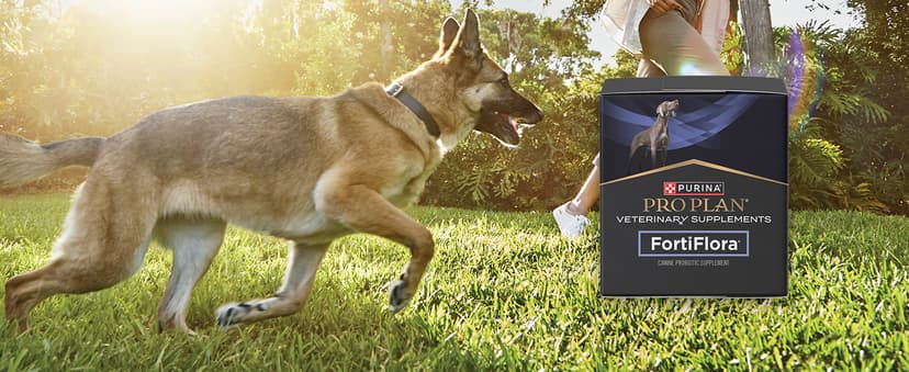 Purina Pro Plan Veterinary Supplements FortiFlora Dog Probiotic Supplement, Canine Nutritional Supplement - 30 ct. Box