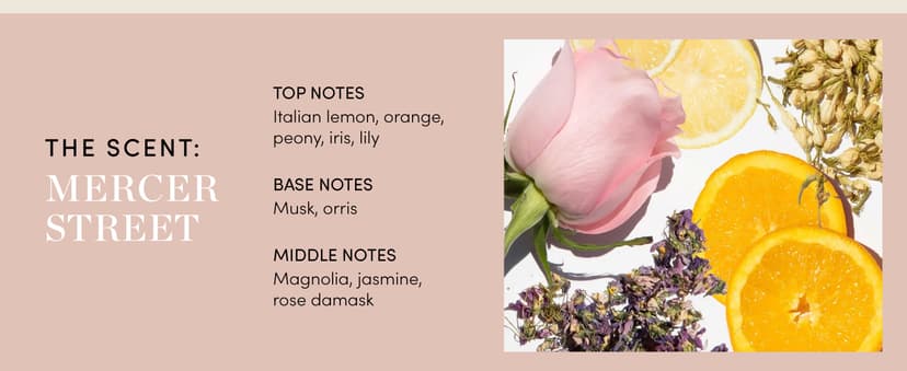 OUAI Fur Bébé Pet Shampoo, Mercer Street Scent - Dog Shampoo and Coat Wash for Hydrating, Cleansing and Adding Shine - Pet Supplies by OUAI (16 Fl Oz)