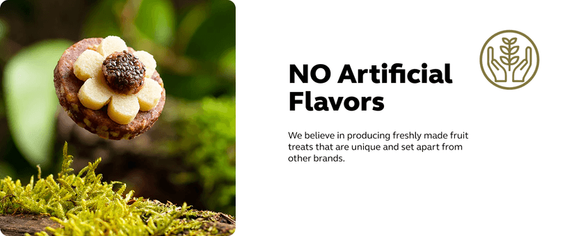 Laumière Gourmet Fruits - Dried Fruit Gift Baskets - Superfood Parfait Collection - Square (16 Pcs) - Premium Nuts Gift Basket - Healthy Snack Boxes for Adults- Vegan, Gluten Free Food Box - No Added Cane Sugar