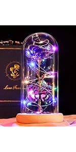 Beferr Christmas Rose Gifts for Women Mom Birthday Gifts, Galaxy Glass Rose Forever Preserved Flowers for Delivery Prime Light Up Rose in Glass Dome with Butterfly Xmas Gifts for Grandma Her Wife
