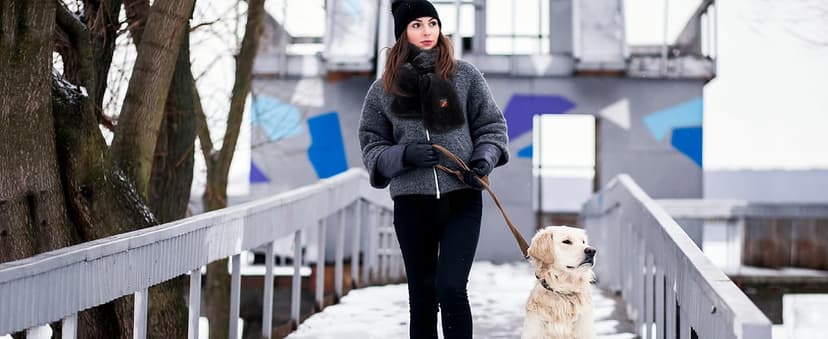 Genovega Women Men Heated Scarf with 6000mAh Battery,Portable Power Bank for Long Lasting Graphene Heating,Winter Warm Gifts