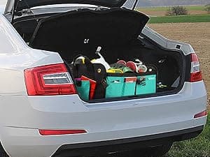 TRUNKCRATEPRO Trunk Organizer For Car, Suv, Truck | Premium Adjustable Multi Compartments Collapsible Car Trunk Organizer With Securing Straps & Non-Slip Bottom (Large Size, Black)