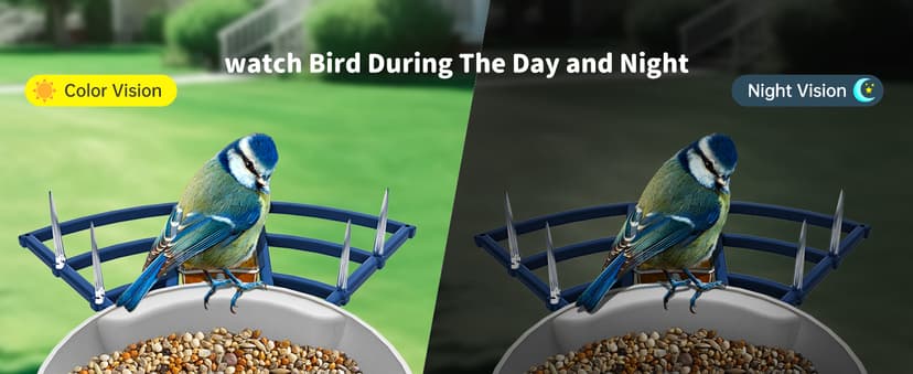 Smart Bird Feeder with Camera Solar Powered & AI Bi rd Identification, 2.4Ghz WiFi Bird feeders for Outdoors, 2K Live Video, Nstant Arrival Alerts - Gifts for Women