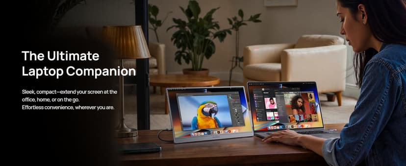 ARZOPA 16.1" Portable Monitor Gray, 100% sRGB FHD 1080P Kickstand Portable Laptop Monitor High Color Gamut Display IPS Eye Care Screen for High-end Office & Entertainment -Z1C Gray