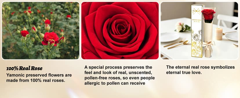 Preserved Rose Flowers for Delivery, Single Red Forever Roses Real Flower Gifts for Women Mom, Mother's Day Wife Anniversary Wedding Graduation Christmas Valentine's Day Rose Gifts for Her Girlfriend B0HBVTMNM1