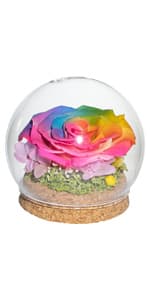 Preserved Real Roses with Colorful Mood Light Wishing Bottle, Eternal Rose,Never Withered Flowers, Table Decor,Christmas Anniversary Valentine's, Blue 4.3inch, 1pcs B07DT2GBT2