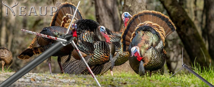 6 Pack Turkey Hunting Broadheads 100/125 Grain 420 Stainless Steel 3 Fixed Blade Broadhead 4" Cutting Dia Archery Arrow Tip for Compound Bow and Recurve Bow