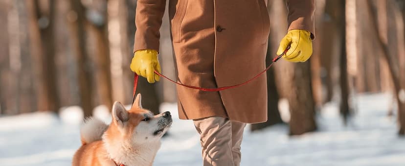 toolant Leather Winter Work Gloves for Men, 100% Grain Cowhide with Warm Thinsulate Lining, Water & Abrasion Resistance