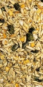 New Country Organics | Loyalty Senior Horse Pellets for Horses 15+ Years Old | Corn-Free and Soy-Free | 16% Protein | Certified Organic and Non-GMO | Nutrition for Senior Horses 40 lbs | Grain Feed