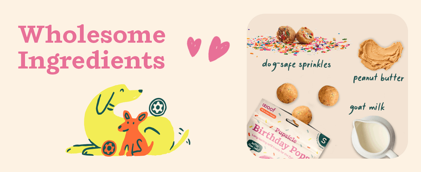 WOOF Pupsicle Birthday Pops - Healthy Dog Treats - Pre-Made Pupsicle Refills - Wholesome Ingredients - Naturally Sweet - Cake-Flavored Birthday Treat for Dogs - XL