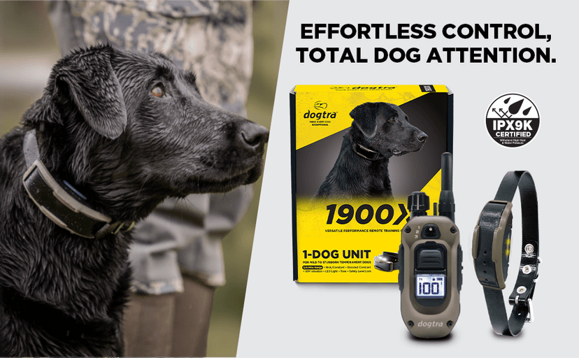 Dogtra 1900X Camouflage E-Collar - 3/4 Mile Range, Dogs 45 lbs+, IPX9K Waterproof, 100 Stimulation Levels, Vibration, Tone, Rechargeable - Ideal for Dog Owners and Professional Trainers