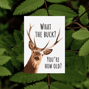 Funny Birthday Card for Men, What the Buck You're How Old, Hunter Birthday Card for Husband, Dad, Brother or Boyfriend, Funny Outdoorsman Deer Hunting Birthday Card B0C5464LJM