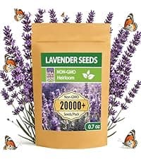 Indoor Herb Garden Kit, Culinary Herb Starter Kit with Seeds & Tools for Beginners, Kitchen Decor, House Warming Gifts for New Home, for Christmas, Ultimate Birthday Gifts for Women Men Mom Dad B0GR93MPX1
