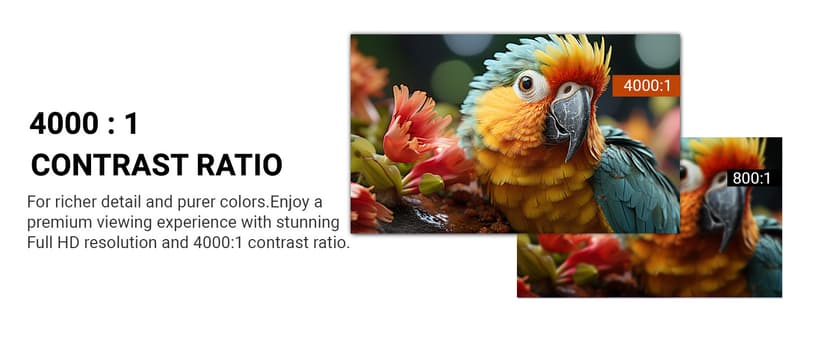 Great voell 23.8" Inch Computer Monitor- FHD 1080P IPS Display 75Hz, 99% sRGB, Eye Care, HDMI VGA, FreeSync, VESA Mountable - Slim Bezel Office & Casual Gaming Screen for PC Console