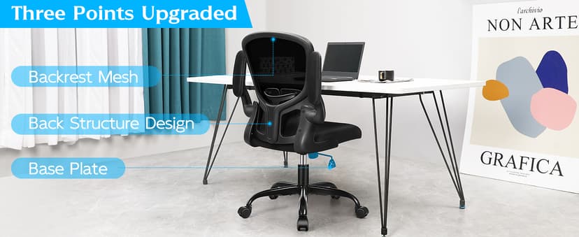 FelixKing Office Desk Chairs, Ergonomic PC Desk Chair with Wheels, Adjustable Lumbar Support and Height, Swivel Computer Chair with Flip-up Armrests, Ergo Mesh Backrest for Working (Black)