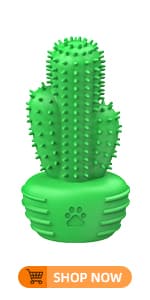 Dog Chew Toys Dog Toothbrush Stick Teeth Cleaning Brush Dental for Medium Large Dog, Puppy Christmas Easter Birthday Gifts, Outdoor Squeaky Toys for Aggressive Chewers Interactive Tough Toys