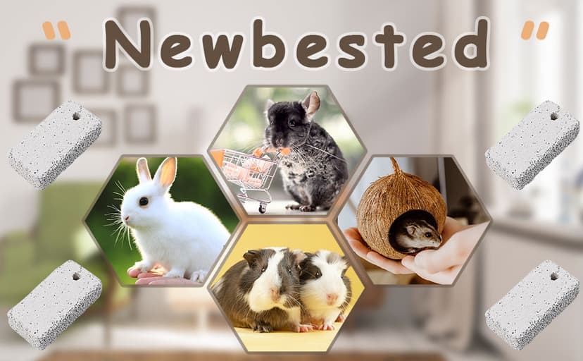20 Pcs Small Animal Pet Lava Bites Chews Toy Teeth Grinding Block Mineral Calcium Stone for Hamsters Parrot Chinchillas Rabbits Guinea Pigs Gerbils