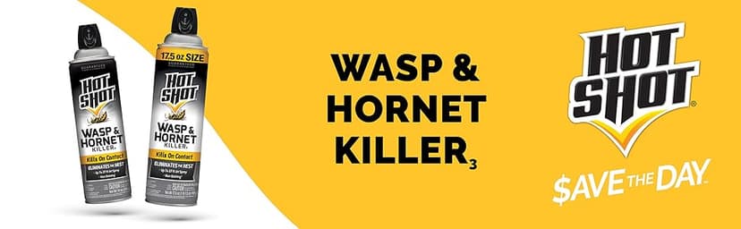 Hot Shot Wasp and Hornet Killer Aerosol, Up to 27-Foot Jet Spray, 14 Ounces, 2 Pack