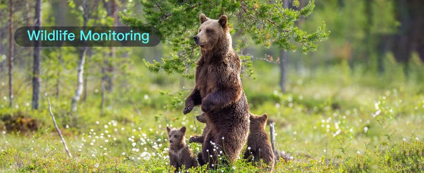 KJK Trail Camera 36MP 2.7K, Mini Game Camera with Night Vision 0.1s Trigger Time Motion Activated 130°Wide-Angle, Waterproof Trail Cam with 2.0” HD TFT Screen, Hunting Camera for Wildlife Monitoring