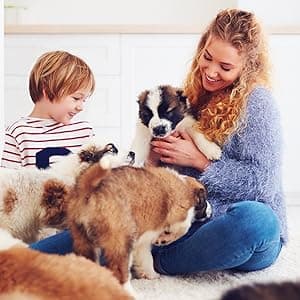 Dreambone Triple Flavor Twisties, 25 Count, Rawhide-Free Dog Chews Made with Real Beef, Pork & Chicken, 7.05 Ounce (Pack of 1)