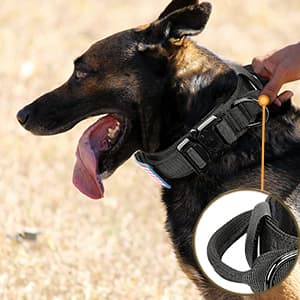Tactical Dog Collar and Bungee Leash,Military Dog Collar & Leash Set with USA American Flag Adjustable K9 Collar with Heavy Duty Metal Buckle & Handle,with Patches and Airtags Case (L, Black)
