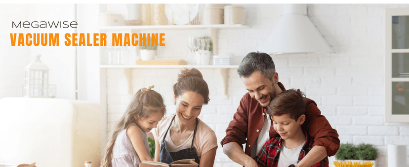 MEGAWISE 2025 Powerful Vacuum Sealer Machine | Compact Design | One-Touch Automatic | Seal in 10-20 Seconds | Dry, Moist, Wet, and Cold Modes | With 10 Vacuum Bags & Built-in Cutter (Grey)