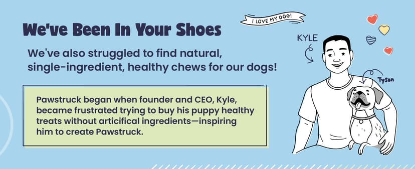 Pawstruck All-Natural 4" Bully Stick Rings for Dogs - Rawhide-Free, 100% Beef, Single Ingredient Dental Chew Bones - Fully Digestible, Low Odor - 10 Count - Packaging May Vary