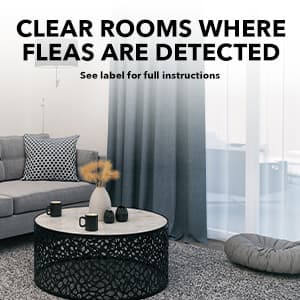 Raid Flea Killer Carpet & Room Spray, Kills hatching eggs for up to 4 months, 16 Oz