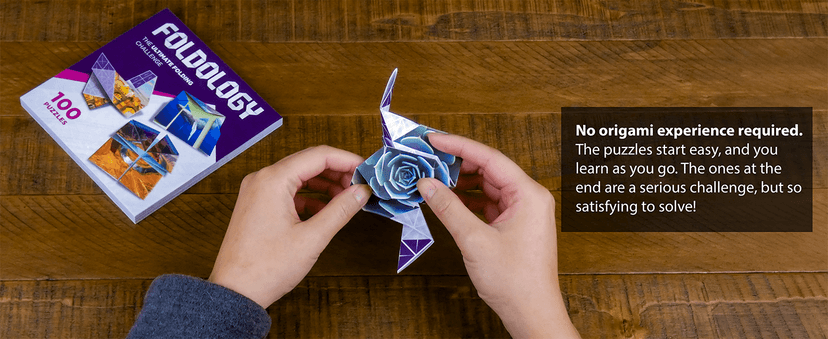 FOLDOLOGY - The Origami Puzzle Game! Brain Teasers for Tweens, Teens & Adults | Travel Game, Hands-On STEM Toy, Stocking Stuffer, Gift for Ages 10+ | Fold the Paper, Complete the Picture | 100 Puzzles