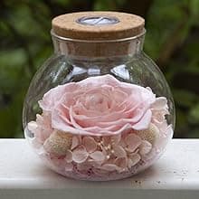 Preserved Real Roses with Colorful Mood Light Wishing Bottle, Eternal Rose,Never Withered Flowers, Table Decor,Christmas Anniversary Valentine's, Blue 4.3inch, 1pcs B07DT2GBT2