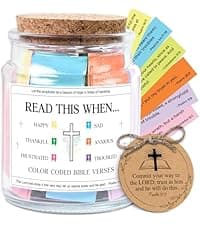 NewEleven Christmas Gifts For Mom, Mom Gifts From Daughters Son on Mother Birthday, Bible Jar, Christian Gift for Wife, Thank You Gift Decorative Inspirational Scripture Jar with 92 Bible Verses