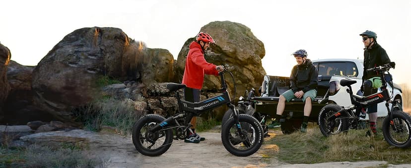 TotGuard Electric Bike,20" Electric Bike for Adults Peak 750W Brushless Motor,20MPH Fat Tire Ebike,Foldable Adult Electric Bicycles with 48V 10Ah Removable Battery,7-Speed,SGS Certified to UL 2849