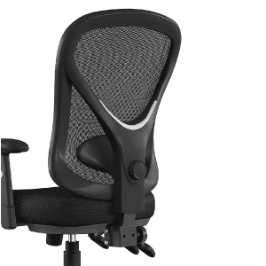 Staples Carder Ergonomic Task Chair, Mesh, Ergonomic, Lumbar Support, Adjustable Height, Black
