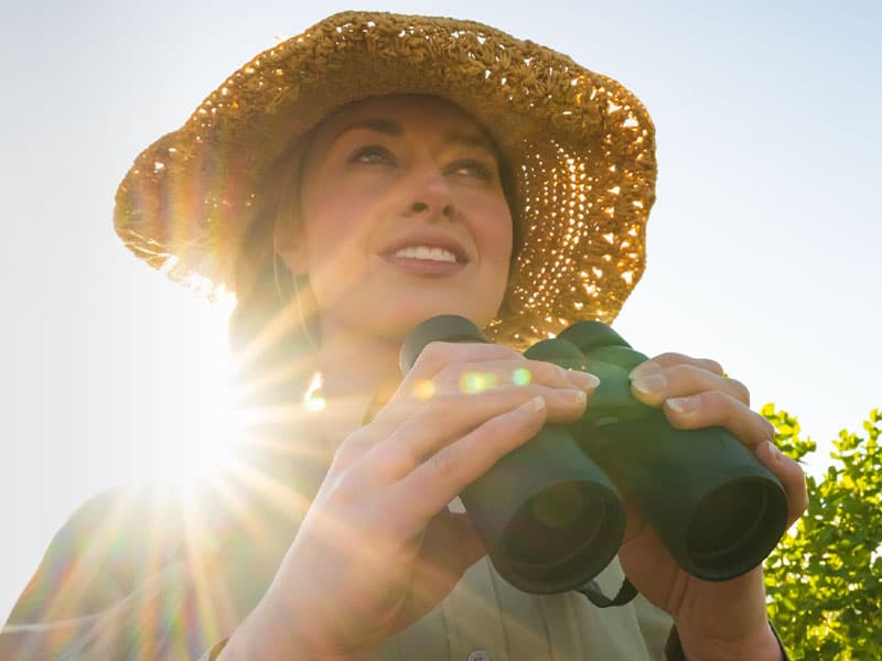 Nikon PROSTAFF P3 8x42 Binocular | Waterproof, fogproof, rubber-armored Full-Size Binocular, wide field of view & long eye relief | Official Nikon USA Model
