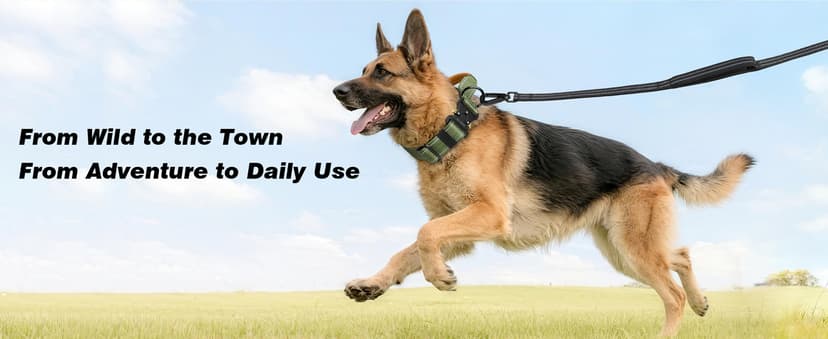 WINGOIN Tactical Dog Collar with AirTag Holder, Heavy Duty Reflective Padded Nylon Collar for Large Dogs, Quick Release Metal Buckle, Dogcollar for Training Walking Hunting, IPX5 Waterproof, Green,L