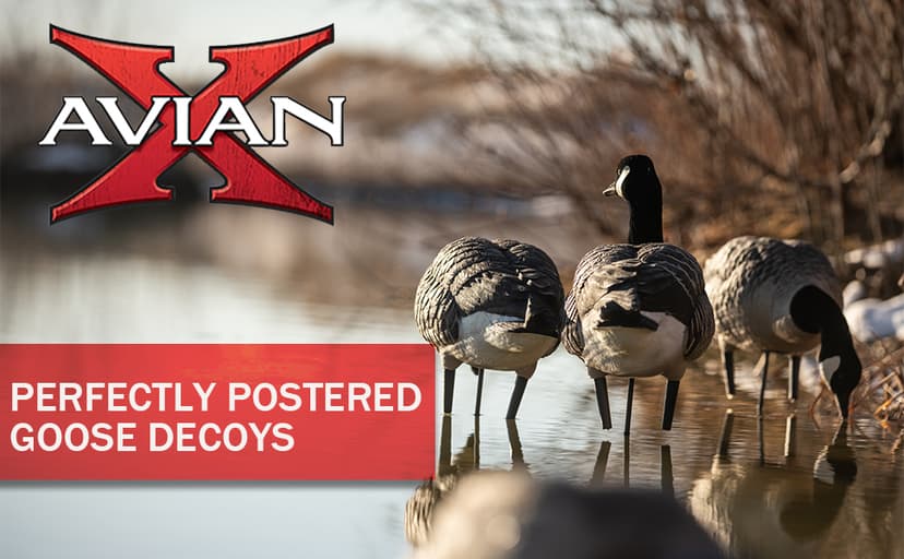 Avian-X Power Butt Kicker Motion Decoy