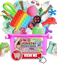 Gift Fidget Box Toys Pack for Kids 3-12, FunKidz Sensory Toys for Boys Girls Age 7-12 Autistic Children in Mystery Storage Portable Box