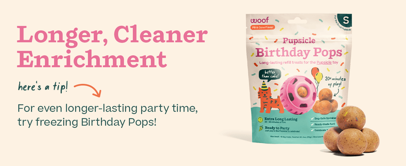 WOOF Pupsicle Birthday Pops - Healthy Dog Treats - Pre-Made Pupsicle Refills - Wholesome Ingredients - Naturally Sweet - Cake-Flavored Birthday Treat for Dogs - XL