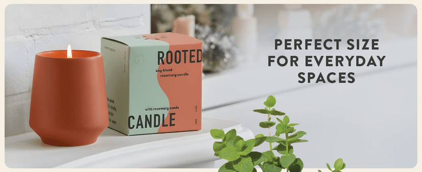 Modern Sprout Rooted Candle - 2 in 1 Cedarwood Scented & Soy Candle with Seeds That Grows into Lavender Plant - 6 oz w/ 42 hr Burn time in Matte Glaze Ceramic Vessel Ideal for Indoor Herb Garden