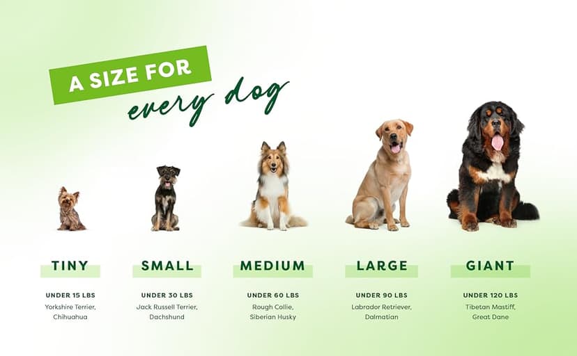 Durable, Super Chewer, Made in USA, Dog Bones, Long-Lasting, A Size for Every Dog, Keeps Them Busy Benebone Wishbone Dog Chew Toy for Aggressive Chewers, Real Bacon, Medium B00CPDWT2M