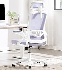 Fizzin Ergonomic Office Chair, 400 LBS Computer Chairs with Adjustable Lumbar Support, Breathable Mesh Desk Chair Ergonomic with Thickened Cushion, Comfy Home Office Desk Chair (Black)