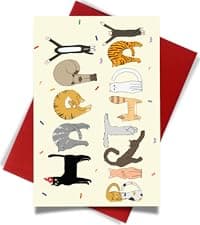 Cheerin Anniversary Day Cards for Him and Her - Romantic Greeting Card with Envelope - Sweet Birthday Card for Husband Wife Girlfriend Boyfriend