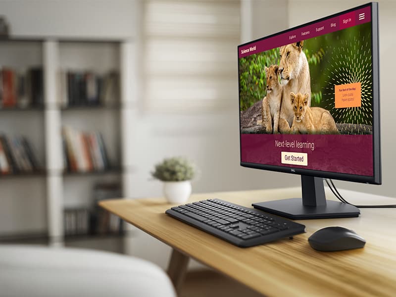 Dell 27 Monitor - SE2725HM - 27-inch Full HD (1920x1080) 16:9 100Hz Display, IPS Panel, 16.70 Million Colors, Anti-Glare, 1 HDMI / 1 VGA Port, TÜV Rheinland 3-Star*, Comfortview Plus - Black