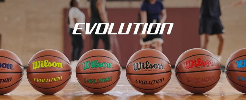 WILSON Evolution Indoor Game Basketballs - Size 5, Size 6 and Size 7