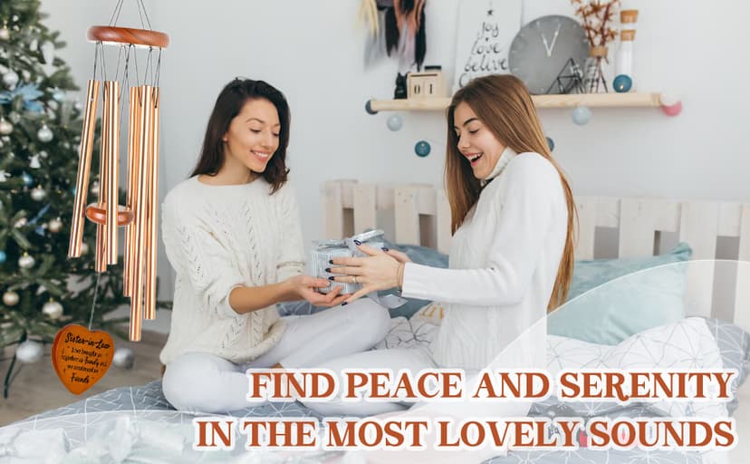 Sister in Law Gifts, Best Sister in Law Christmas Funny Gift - Wind Chimes, Birthday, Mothers Day, Wedding, Engagement, Thanksgiving Gifts