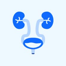 Wisdom Panel Premium Dog DNA Kit: Most Comprehensive with 265+ Health Tests, Identify 365+ Dog Breeds, 50+ Traits, Relatives, Ancestry, Genetic Diversity - Pack of 1